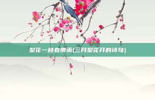 梨花一枝春带雨(三月梨花开的诗句)