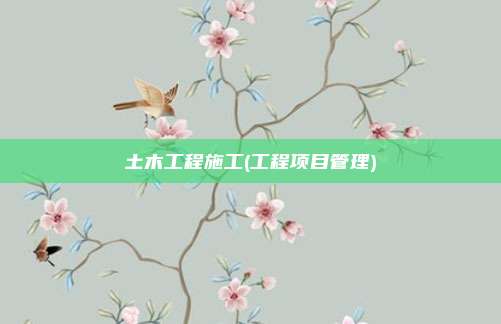 土木工程施工(工程项目管理)