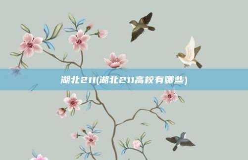 湖北211(湖北211高校有哪些)