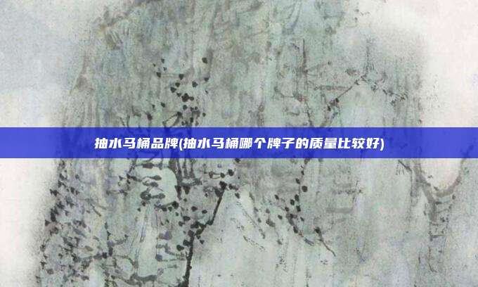 抽水马桶品牌(抽水马桶哪个牌子的质量比较好)
