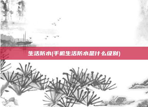 生活防水(手机生活防水是什么级别)