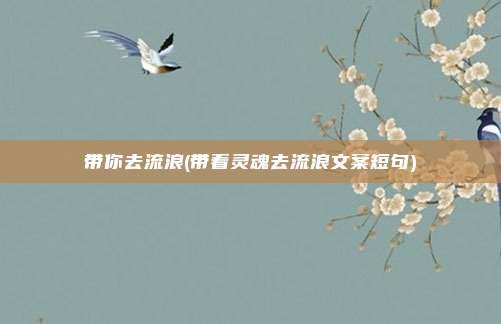 带你去流浪(带着灵魂去流浪文案短句)
