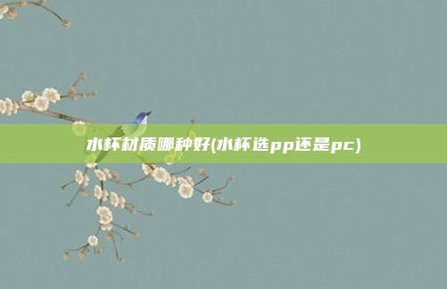 水杯材质哪种好(水杯选pp还是pc)