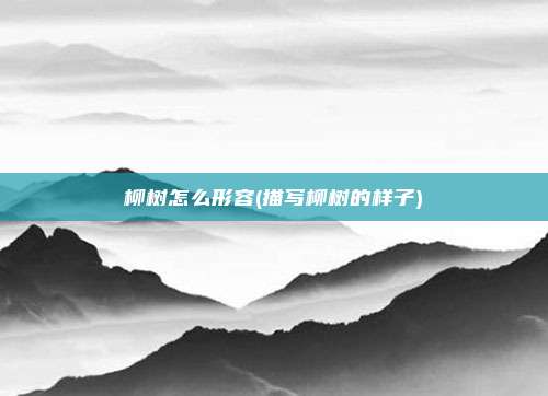 柳树怎么形容(描写柳树的样子)