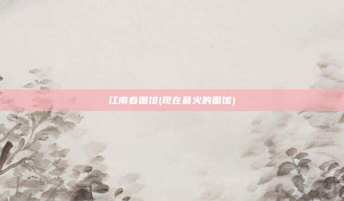 江南春面馆(现在最火的面馆)