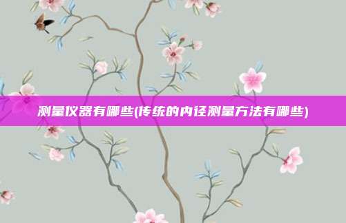 测量仪器有哪些(传统的内径测量方法有哪些)