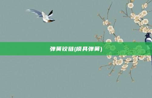 弹簧铰链(模具弹簧)