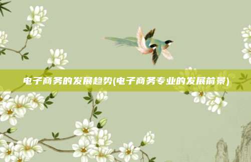 电子商务的发展趋势(电子商务专业的发展前景)