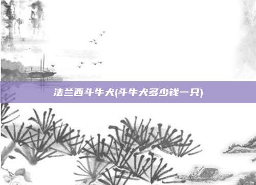 法兰西斗牛犬(斗牛犬多少钱一只)