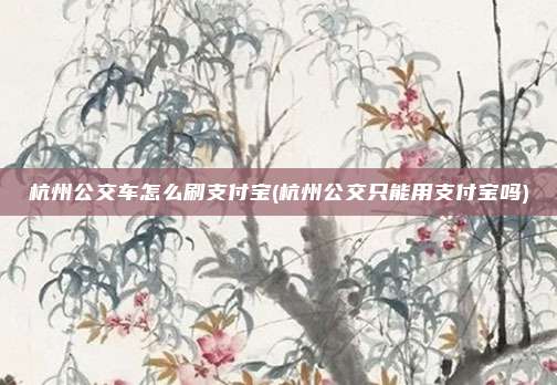 杭州公交车怎么刷支付宝(杭州公交只能用支付宝吗)