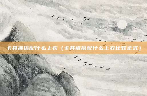 卡其裤搭配什么上衣（卡其裤搭配什么上衣比较正式）