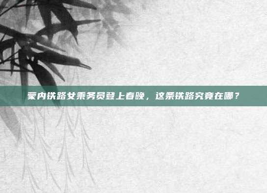 蒙内铁路女乘务员登上春晚，这条铁路究竟在哪？