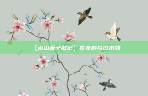 【雨山禾子散记】在北麂岛过水屿