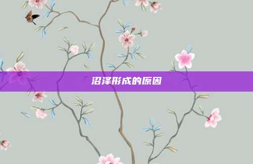 沼泽形成的原因
