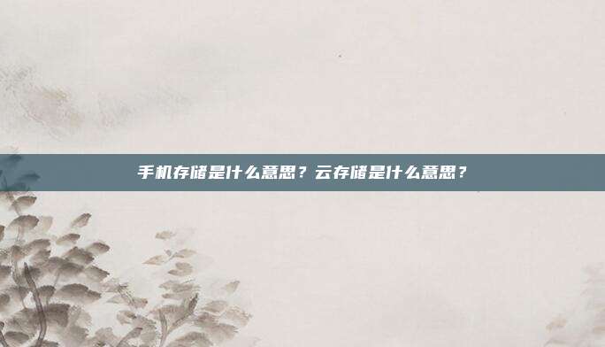手机存储是什么意思？云存储是什么意思？