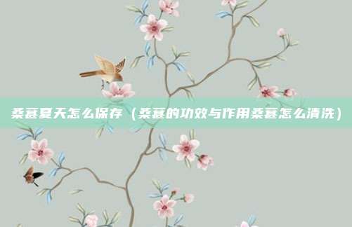 桑葚夏天怎么保存(桑葚的功效与作用桑葚怎么清洗)