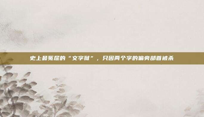 史上最冤屈的“文字狱”，只因两个字的偏旁部首被杀