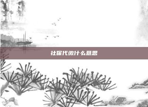 社保代缴什么意思