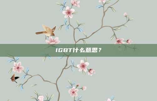 IGBT什么意思？