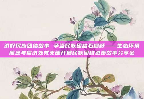 讲好民族团结故事 争当民族团结石榴籽——生态环境应急与信访处党支部开展民族团结进步故事分享会