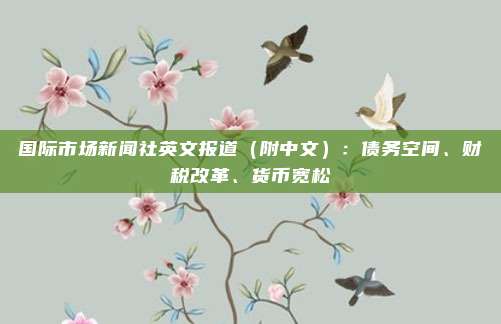 国际市场新闻社英文报道（附中文）：债务空间、财税改革、货币宽松