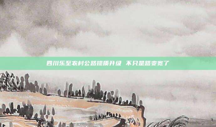 四川乐至农村公路提质升级 不只是路变宽了
