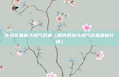 中石化最新天然气价格(国内各地天然气价格最新行情)
