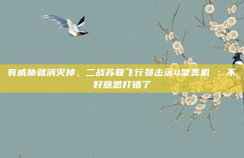 有威胁就消灭掉，二战苏联飞行员击落4架美机 ：不好意思打错了