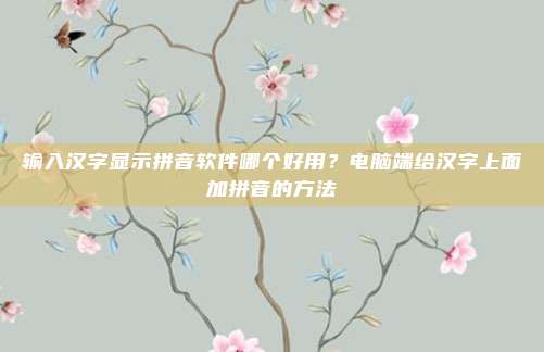 输入汉字显示拼音软件哪个好用？电脑端给汉字上面加拼音的方法