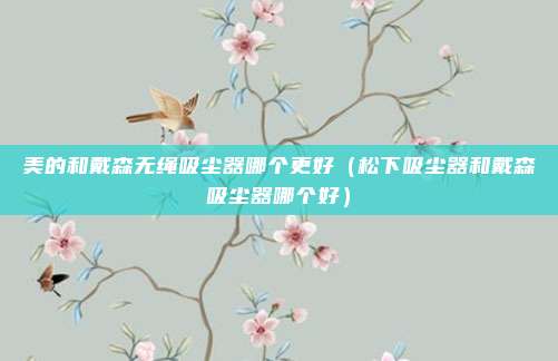美的和戴森无绳吸尘器哪个更好(松下吸尘器和戴森吸尘器哪个好)
