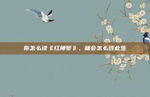 你怎么读《红楼梦》，就会怎么过此生
