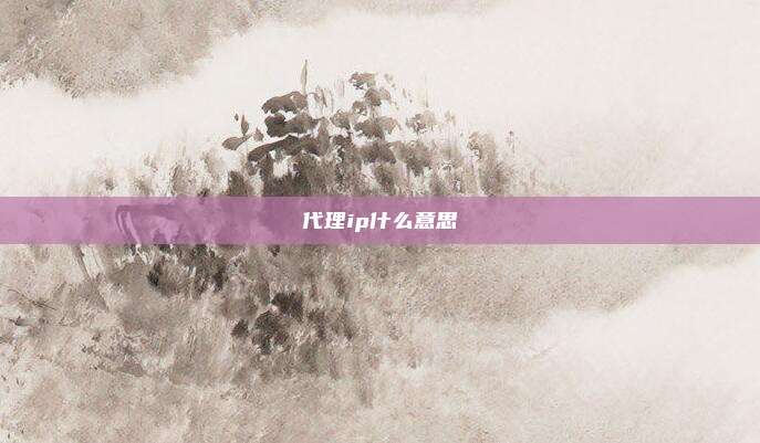 代理ip什么意思