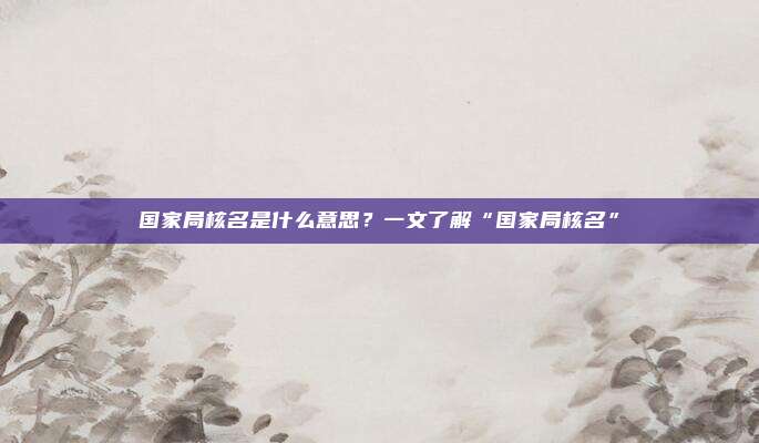 国家局核名是什么意思？一文了解“国家局核名”