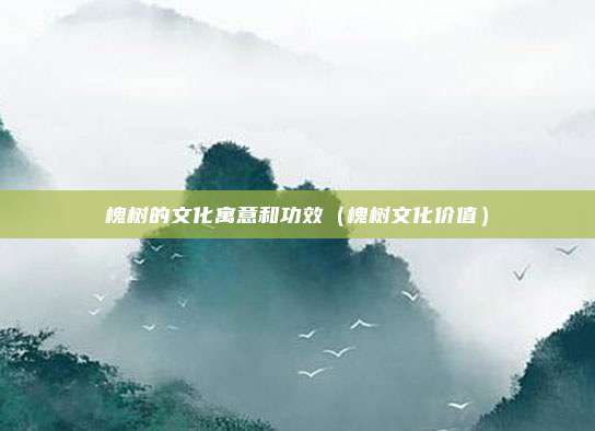 槐树的文化寓意和功效（槐树文化价值）