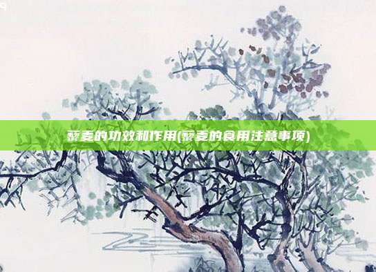 藜麦的功效和作用(藜麦的食用注意事项)