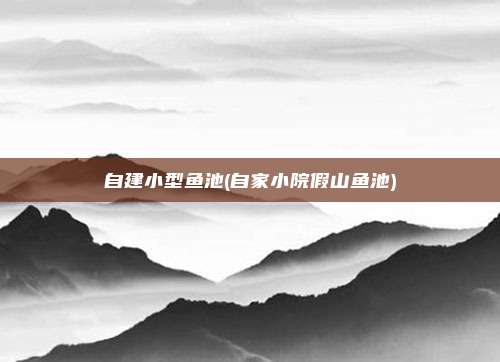 自建小型鱼池(自家小院假山鱼池)
