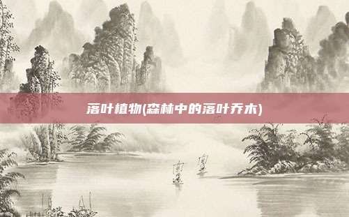 落叶植物(森林中的落叶乔木)