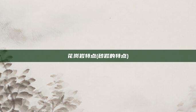 花岗岩特点(砂岩的特点)