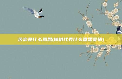 苦恋是什么意思(楝树代表什么意思爱情)