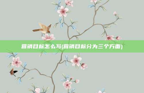 营销目标怎么写(营销目标分为三个方面)