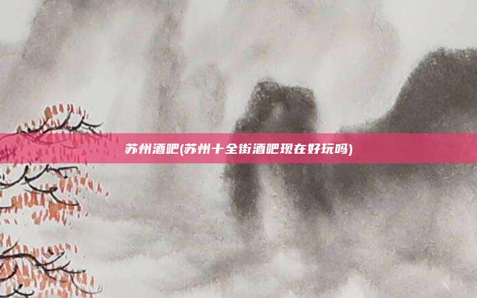 苏州酒吧(苏州十全街酒吧现在好玩吗)