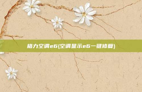 格力空调e6(空调显示e6一键修复)