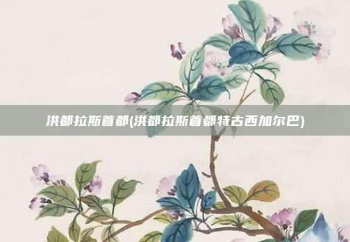 洪都拉斯首都(洪都拉斯首都特古西加尔巴)