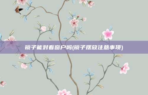 镜子能对着窗户吗(镜子摆放注意事项)