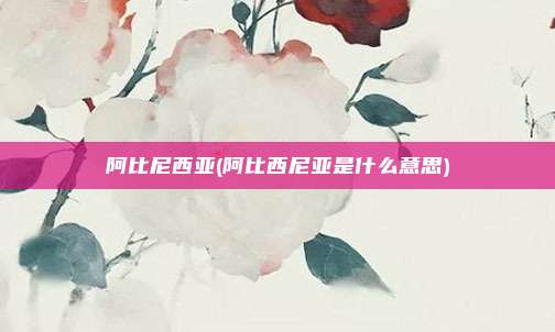 阿比尼西亚(阿比西尼亚是什么意思)
