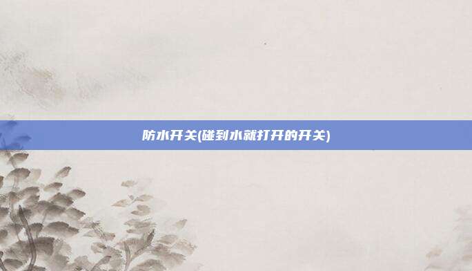 防水开关(碰到水就打开的开关)