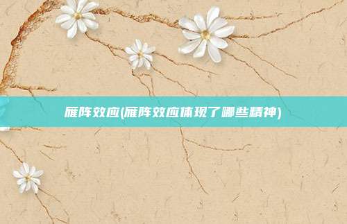 雁阵效应(雁阵效应体现了哪些精神)