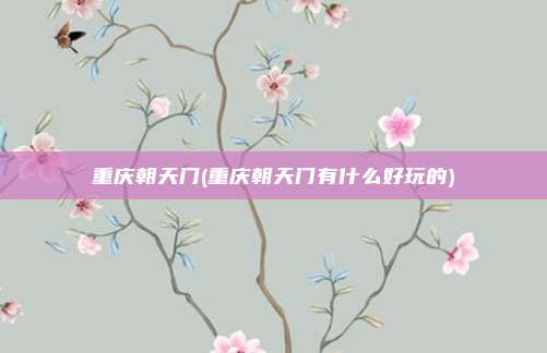 重庆朝天门(重庆朝天门有什么好玩的)
