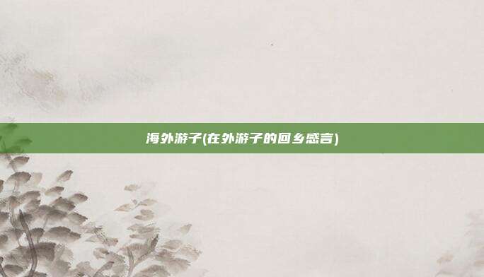 海外游子(在外游子的回乡感言)
