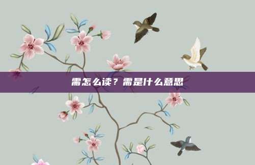 需怎么读?需是什么意思